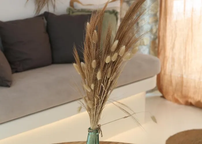 Aderfia With Private Hot Tub 奥诺斯