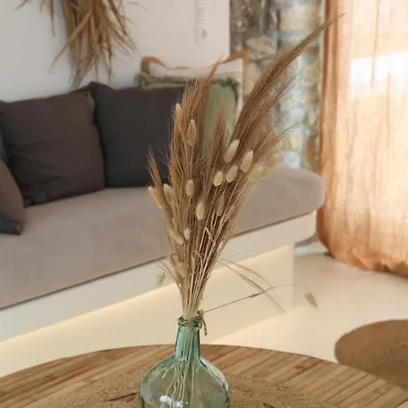 Aderfia With Private Hot Tub Ornos (Mykonos)